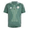 Officiële Voetbalshirt Nigeria 2024 Groene - Heren